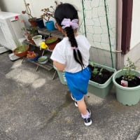 家庭菜園