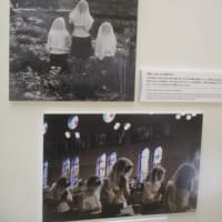 「戦争と平和」展・・・被爆80年特別企画報道写真展が旧日本銀行広島支店で開催されています　世界に平和を！