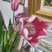 咲いた咲いたチューリップの花が
