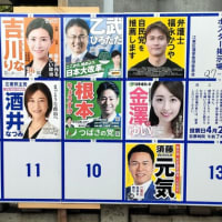 衆院議員補選：東京15区