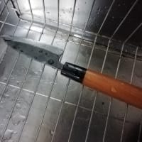 魚を捌く小学六年生