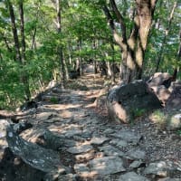 天狗〜八王子山〜白山展望台〜法泉寺山〜湯村山