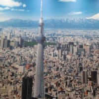 母親の居る千葉県へ！！