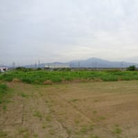 平塚市神田地区～神田幼稚園～田村けやき公園、丹沢山塊、田圃の向こうを新幹線が通り過ぎて行きました