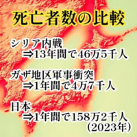【緊急速報】日本が中国マフィアと繋がっていることが発覚し、岩屋完全終了しました【国会/自民党/深田萌絵/岩屋外務大臣/外務省/石破茂/政治】