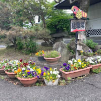 GWにお越しください