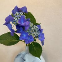 6月16日　お掃除の日