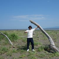 潮風に吹かれながら