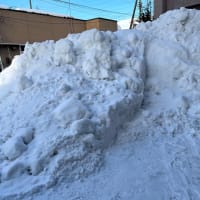 もう春かそこまで春が来てるのか？