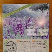 ここに行こうと思う