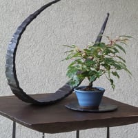 今月のギャラリー花ほうろ   水無月・2025