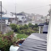 昨日午後は今年2回目の雷雨