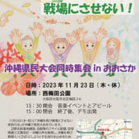 チラシできました！11/23　県民集会同時集会　in　おおさか