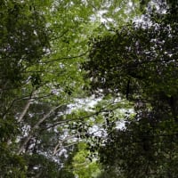 憧れの地、訪問の旅二日目。