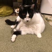 どんな夢見てんのかなぁ〜❓､､､。