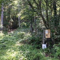 弥勒山日記　(23)　　　　　2015/05/15～2015/06/15