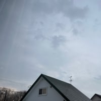 期待はずれ(๑>◡<๑)