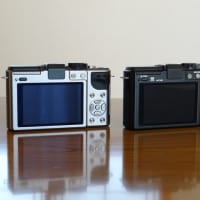 Panasonic DMC-GX1購入