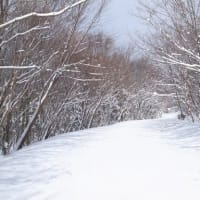 友人は大切なものなのだ。と考えたのである。（ロドスタ・ドリフト走行の恐怖）
