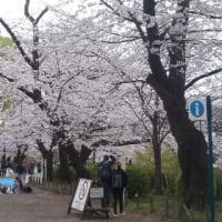 井の頭公園＾＾。