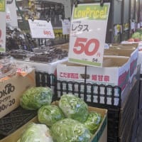 都心でも、レタスを１玉50円で買えるのだね。