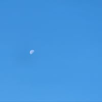 朝空