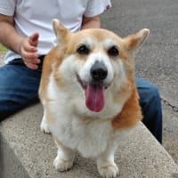すごい大雨でした！！