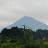 今朝の富士