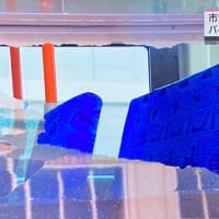 兵庫で神戸市営バスの大型路線バスとイタリア製スクーターが衝突