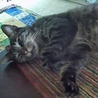 Bicは元に戻り、Nuckは外にいる