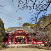 2025年と２月の運気