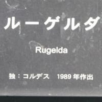 ルーゲルダ　〈Rugelda　バラ〉　