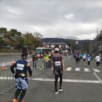 京都マラソンレースレポート　６　京を走り抜けフィニッシュだ！！　市長さんもお出迎え！？　〜どうしようひで会長　64〜