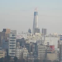 スカイツリー（新東京タワー）