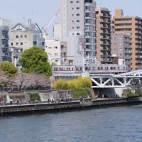 2025/3/30　都内で桜と列車の撮影　前編