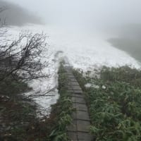 霧雨の中丸山コース　ピストン