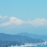 富士山とランチ