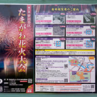 2025年の「世田谷区たまがわ花火大会」
