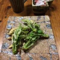 タラの芽を天ぷらに