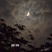 2025年下半期に入りました