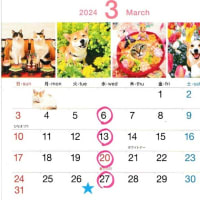 ３月も暦通りです。3/2より令和６年度狂犬病注射が始まります。