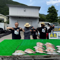 ６月２２日 日曜日