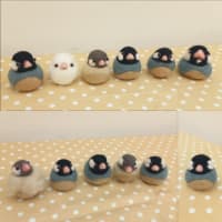 ぽっちゃり文鳥講座in南大高