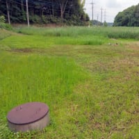 休耕田の草刈り