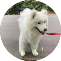 雨上がりの朝