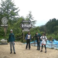 ペット専用登山カード（754回目）