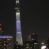 日向坂46の虹開催記念特別ライティング17