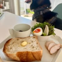 働いてやってる？働かせていただいている？