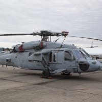 岩国基地フレンドシップデー2014