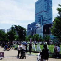 5月21日(日) 用事で阿倍野へ出ましたが時間があったので「てんしば」へ ❣